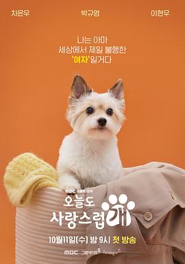 A Good Day To Be A Dog,犬系恋人(港)